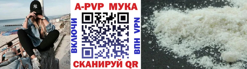 мориарти Telegram kraken ONION Оса APVP СК