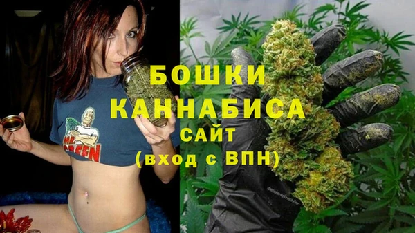 PSILOCYBIN Алзамай