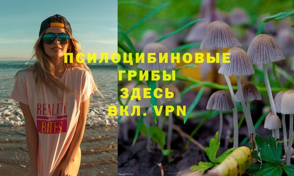 PSILOCYBIN Алзамай