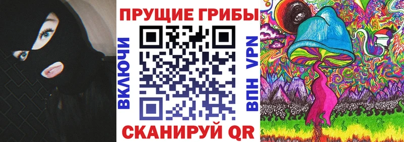shop состав  Оса  Галлюциногенные грибы Psilocybine cubensis 